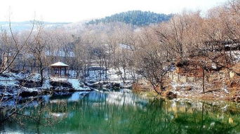 松塘村门票优惠游：一场说走就走的乡村冒险