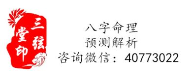 温柔似水的属兔女