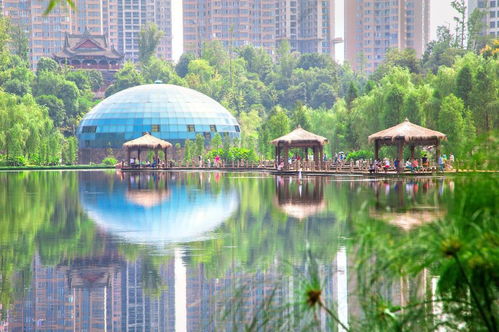 娱乐活动设施：复古到心碎且存在风险因素